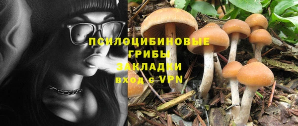 ECSTASY Абинск