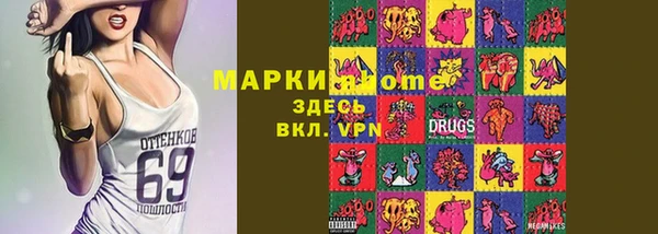 хмурый Абаза
