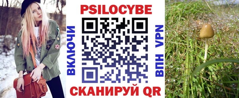 Псилоцибиновые грибы MAGIC MUSHROOMS  наркота  Владикавказ 